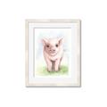 Picture of Farm Pig _GroupedProduct_Rectangle_Portrait_Mini_ _GroupedProduct_Rectangle_Portrait_Framed_Matted_
