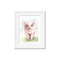 Picture of Farm Pig _GroupedProduct_Rectangle_Portrait_Mini_ _GroupedProduct_Rectangle_Portrait_Framed_Matted_