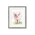 Picture of Farm Pig _GroupedProduct_Rectangle_Portrait_Mini_ _GroupedProduct_Rectangle_Portrait_Framed_Matted_