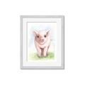 Picture of Farm Pig _GroupedProduct_Rectangle_Portrait_Mini_ _GroupedProduct_Rectangle_Portrait_Framed_Matted_