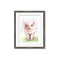 Picture of Farm Pig _GroupedProduct_Rectangle_Portrait_Mini_ _GroupedProduct_Rectangle_Portrait_Framed_Matted_