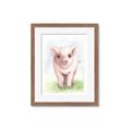 Picture of Farm Pig _GroupedProduct_Rectangle_Portrait_Mini_ _GroupedProduct_Rectangle_Portrait_Framed_Matted_