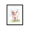 Picture of Farm Pig _GroupedProduct_Rectangle_Portrait_Mini_ _GroupedProduct_Rectangle_Portrait_Framed_Matted_