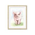 Picture of Farm Pig _GroupedProduct_Rectangle_Portrait_Mini_ _GroupedProduct_Rectangle_Portrait_Framed_Matted_