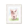 Picture of Farm Pig _GroupedProduct_Rectangle_Portrait_Mini_ _GroupedProduct_Rectangle_Portrait_Framed_Matted_