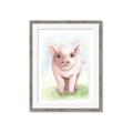 Picture of Farm Pig _GroupedProduct_Rectangle_Portrait_Mini_ _GroupedProduct_Rectangle_Portrait_Framed_Matted_