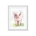 Picture of Farm Pig _GroupedProduct_Rectangle_Portrait_Mini_ _GroupedProduct_Rectangle_Portrait_Framed_Matted_