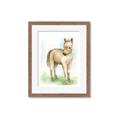 Picture of Farm Horse _GroupedProduct_Rectangle_Portrait_Mini_ _GroupedProduct_Rectangle_Portrait_Framed_Matted_