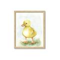 Picture of Farm Duck _GroupedProduct_Rectangle_Portrait_Mini_ _GroupedProduct_Rectangle_Portrait_Framed_Matted_
