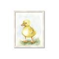 Picture of Farm Duck _GroupedProduct_Rectangle_Portrait_Mini_ _GroupedProduct_Rectangle_Portrait_Framed_Matted_