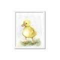 Picture of Farm Duck _GroupedProduct_Rectangle_Portrait_Mini_ _GroupedProduct_Rectangle_Portrait_Framed_Matted_