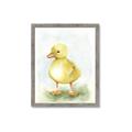 Picture of Farm Duck _GroupedProduct_Rectangle_Portrait_Mini_ _GroupedProduct_Rectangle_Portrait_Framed_Matted_