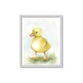Picture of Farm Duck _GroupedProduct_Rectangle_Portrait_Mini_ _GroupedProduct_Rectangle_Portrait_Framed_Matted_