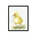 Picture of Farm Duck _GroupedProduct_Rectangle_Portrait_Mini_ _GroupedProduct_Rectangle_Portrait_Framed_Matted_