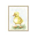 Picture of Farm Duck _GroupedProduct_Rectangle_Portrait_Mini_ _GroupedProduct_Rectangle_Portrait_Framed_Matted_