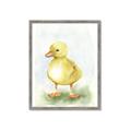 Picture of Farm Duck _GroupedProduct_Rectangle_Portrait_Mini_ _GroupedProduct_Rectangle_Portrait_Framed_Matted_