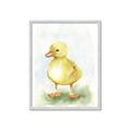 Picture of Farm Duck _GroupedProduct_Rectangle_Portrait_Mini_ _GroupedProduct_Rectangle_Portrait_Framed_Matted_