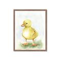 Picture of Farm Duck _GroupedProduct_Rectangle_Portrait_Mini_ _GroupedProduct_Rectangle_Portrait_Framed_Matted_