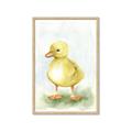 Picture of Farm Duck _GroupedProduct_Rectangle_Portrait_Mini_ _GroupedProduct_Rectangle_Portrait_Framed_Matted_