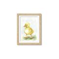 Picture of Farm Duck _GroupedProduct_Rectangle_Portrait_Mini_ _GroupedProduct_Rectangle_Portrait_Framed_Matted_