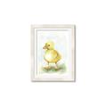 Picture of Farm Duck _GroupedProduct_Rectangle_Portrait_Mini_ _GroupedProduct_Rectangle_Portrait_Framed_Matted_