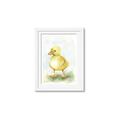 Picture of Farm Duck _GroupedProduct_Rectangle_Portrait_Mini_ _GroupedProduct_Rectangle_Portrait_Framed_Matted_
