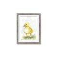 Picture of Farm Duck _GroupedProduct_Rectangle_Portrait_Mini_ _GroupedProduct_Rectangle_Portrait_Framed_Matted_