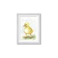 Picture of Farm Duck _GroupedProduct_Rectangle_Portrait_Mini_ _GroupedProduct_Rectangle_Portrait_Framed_Matted_