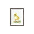 Picture of Farm Duck _GroupedProduct_Rectangle_Portrait_Mini_ _GroupedProduct_Rectangle_Portrait_Framed_Matted_