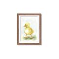 Picture of Farm Duck _GroupedProduct_Rectangle_Portrait_Mini_ _GroupedProduct_Rectangle_Portrait_Framed_Matted_