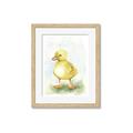 Picture of Farm Duck _GroupedProduct_Rectangle_Portrait_Mini_ _GroupedProduct_Rectangle_Portrait_Framed_Matted_