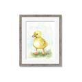 Picture of Farm Duck _GroupedProduct_Rectangle_Portrait_Mini_ _GroupedProduct_Rectangle_Portrait_Framed_Matted_