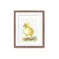 Picture of Farm Duck _GroupedProduct_Rectangle_Portrait_Mini_ _GroupedProduct_Rectangle_Portrait_Framed_Matted_