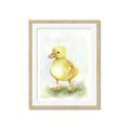Picture of Farm Duck _GroupedProduct_Rectangle_Portrait_Mini_ _GroupedProduct_Rectangle_Portrait_Framed_Matted_