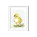 Picture of Farm Duck _GroupedProduct_Rectangle_Portrait_Mini_ _GroupedProduct_Rectangle_Portrait_Framed_Matted_