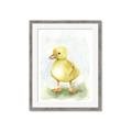 Picture of Farm Duck _GroupedProduct_Rectangle_Portrait_Mini_ _GroupedProduct_Rectangle_Portrait_Framed_Matted_