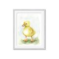 Picture of Farm Duck _GroupedProduct_Rectangle_Portrait_Mini_ _GroupedProduct_Rectangle_Portrait_Framed_Matted_