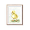 Picture of Farm Duck _GroupedProduct_Rectangle_Portrait_Mini_ _GroupedProduct_Rectangle_Portrait_Framed_Matted_