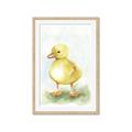 Picture of Farm Duck _GroupedProduct_Rectangle_Portrait_Mini_ _GroupedProduct_Rectangle_Portrait_Framed_Matted_