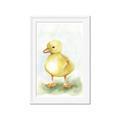 Picture of Farm Duck _GroupedProduct_Rectangle_Portrait_Mini_ _GroupedProduct_Rectangle_Portrait_Framed_Matted_