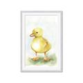 Picture of Farm Duck _GroupedProduct_Rectangle_Portrait_Mini_ _GroupedProduct_Rectangle_Portrait_Framed_Matted_
