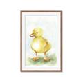Picture of Farm Duck _GroupedProduct_Rectangle_Portrait_Mini_ _GroupedProduct_Rectangle_Portrait_Framed_Matted_