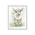 Picture of Farm Lamb _GroupedProduct_Rectangle_Portrait_Mini_ _GroupedProduct_Rectangle_Portrait_Framed_Matted_