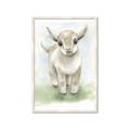 Picture of Farm Lamb _GroupedProduct_Rectangle_Portrait_Mini_ _GroupedProduct_Rectangle_Portrait_Framed_Matted_