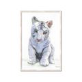 Picture of White Tiger Cub _GroupedProduct_Rectangle_Portrait_Mini_ _GroupedProduct_Rectangle_Portrait_Framed_Matted_