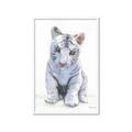 Picture of White Tiger Cub _GroupedProduct_Rectangle_Portrait_Mini_ _GroupedProduct_Rectangle_Portrait_Framed_Matted_
