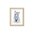 Picture of White Tiger Cub _GroupedProduct_Rectangle_Portrait_Mini_ _GroupedProduct_Rectangle_Portrait_Framed_Matted_