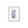 Picture of White Tiger Cub _GroupedProduct_Rectangle_Portrait_Mini_ _GroupedProduct_Rectangle_Portrait_Framed_Matted_