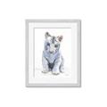Picture of White Tiger Cub _GroupedProduct_Rectangle_Portrait_Mini_ _GroupedProduct_Rectangle_Portrait_Framed_Matted_
