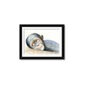 Picture of Sleeping Monkey _GroupedProduct_Rectangle_Landscape_Mini_ _GroupedProduct_Rectangle_Landscape_Framed_Matted_